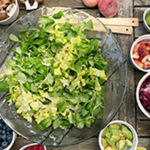 Different Diet Programs Explained