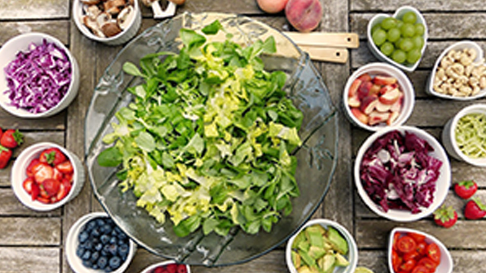 Different Diet Programs Explained