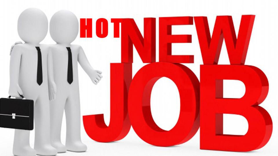Ranggo Hot Jobs