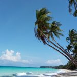 Palm Trees and sea on Boracay's famous White Beach