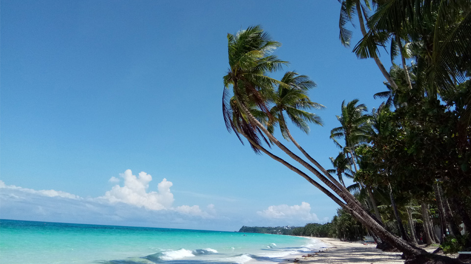 Palm Trees and sea on Boracay's famous White Beach